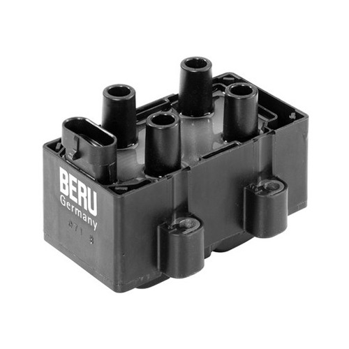 Πολλαπλασιαστές Renault Megane