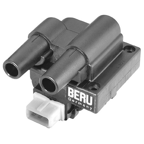 Πολλαπλασιαστές Renault Kangoo